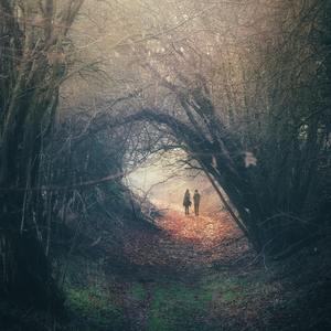 久久精品中文字幕
