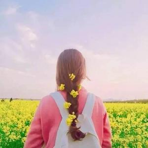 久久精品中文字幕
